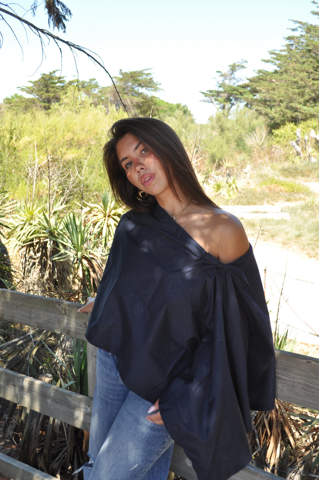 Top Shine
